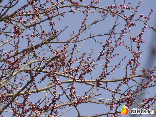 4 ����: �����-����-����� 2013 - 2015