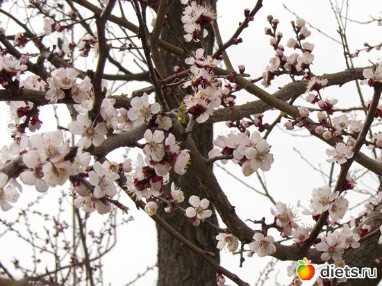 5 ����: �����-����-����� 2013 - 2015