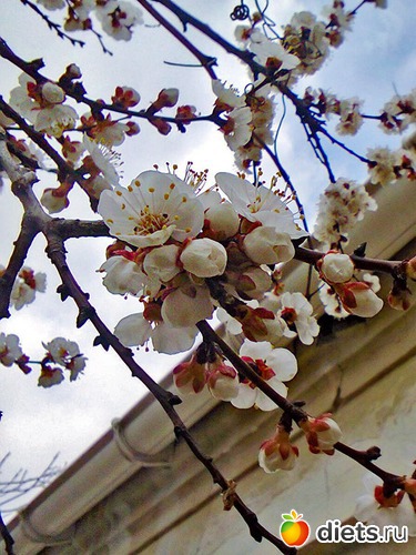 6 ����: �����-����-����� 2013 - 2015