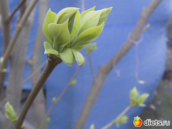 7 ����: �����-����-����� 2013 - 2015