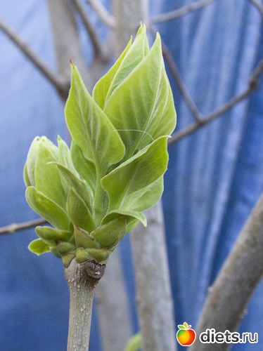 8 ����: �����-����-����� 2013 - 2015