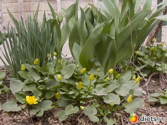 9 ����: �����-����-����� 2013 - 2015