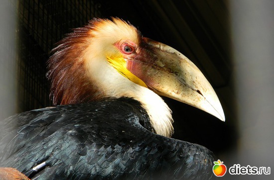 1 ����: ������