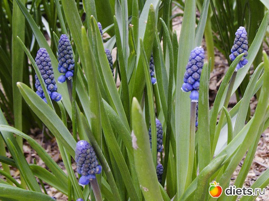 10 ����: �����-����-����� 2013 - 2015