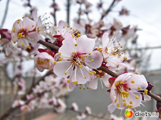 11 ����: �����-����-����� 2013 - 2015