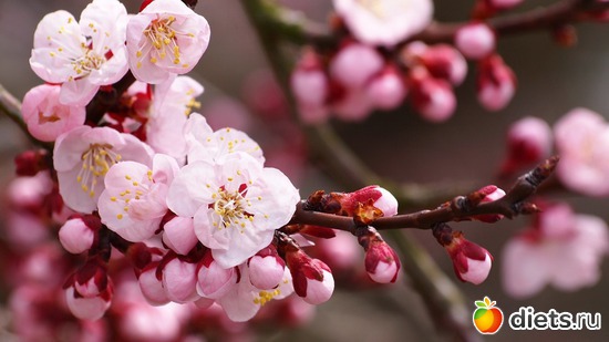 1 ����: �����!