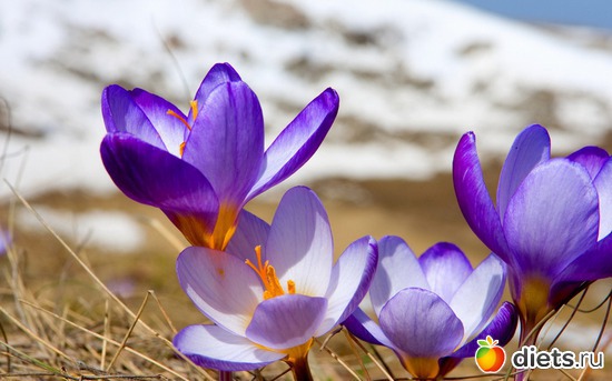 2 ����: �����!