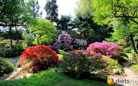 4 ����: �����!