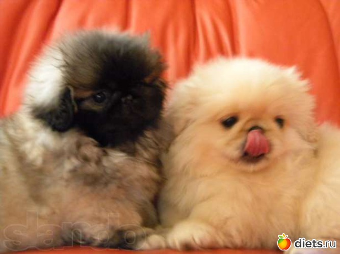 2 ����: ������� �������