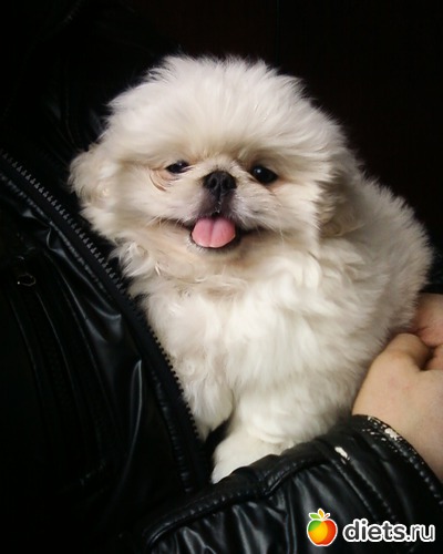 4 ����: ������� �������