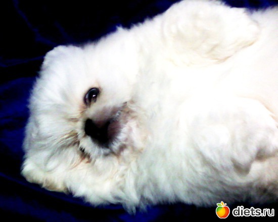 8 ����: ������� �������