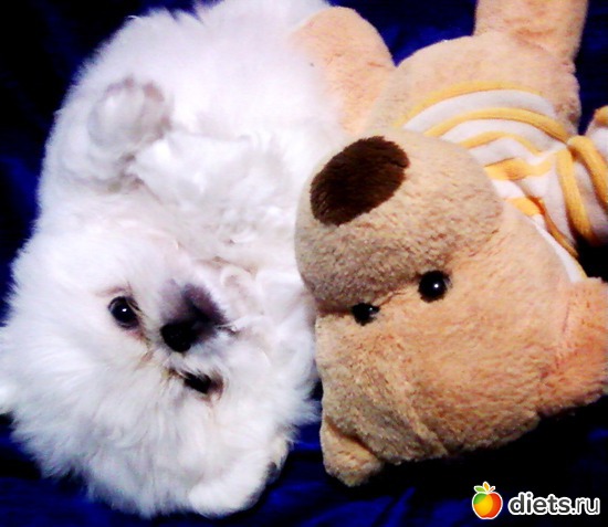 9 ����: ������� �������