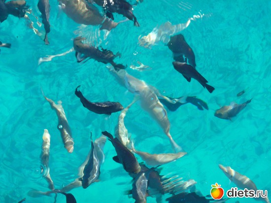 ���� ������� � ������� ��������� �� ���������, ������: ������� 2013