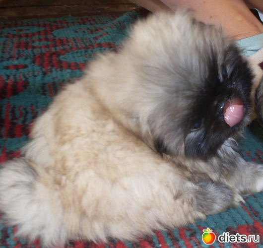 11 ����: ������� �������