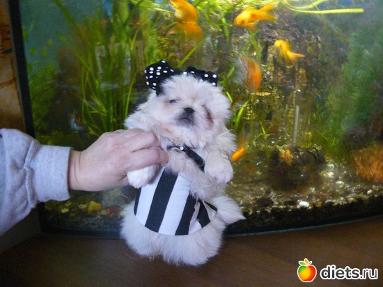 14 ����: ������� �������