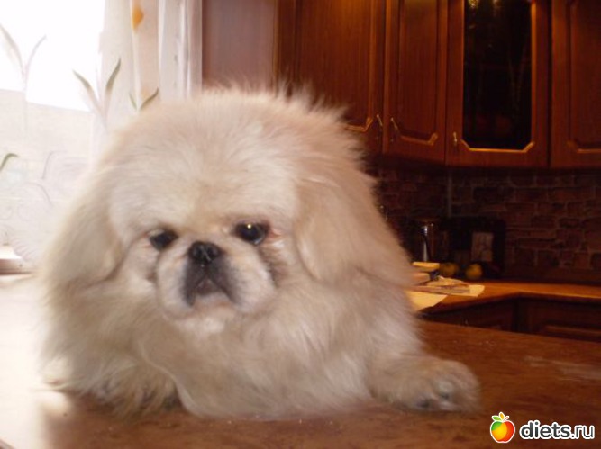 15 ����: ������� �������