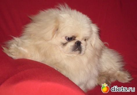 ������� �������