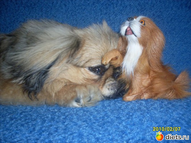 17 ����: ������� �������