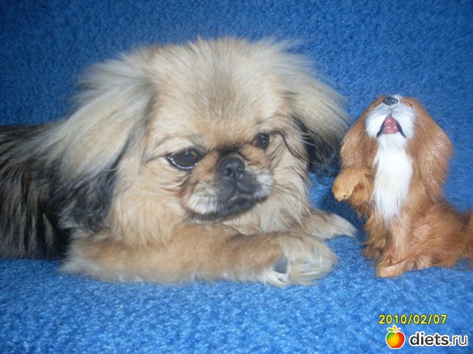 18 ����: ������� �������