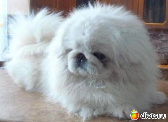 19 ����: ������� �������