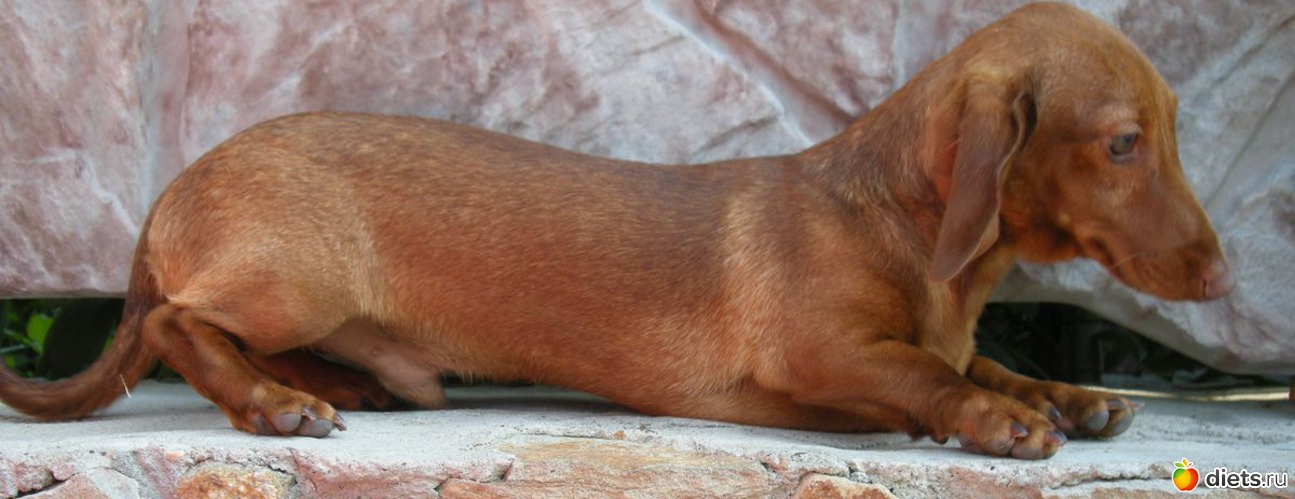 22 ����: ������� �������