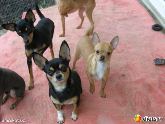 23 ����: ������� �������