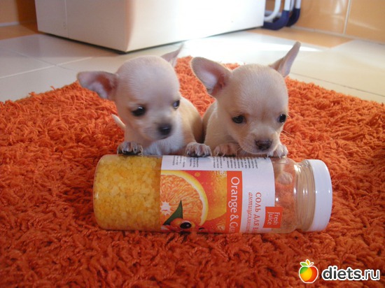 25 ����: ������� �������