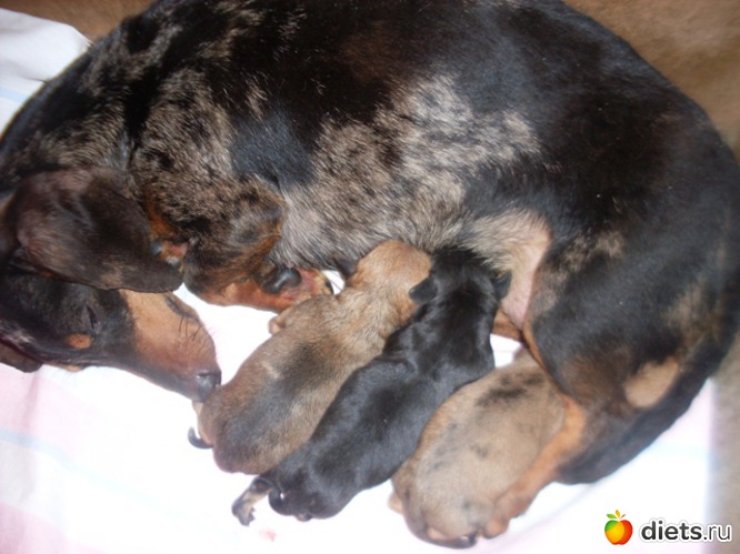 29 ����: ������� �������