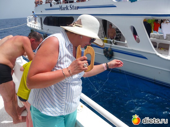 ������, ������: ������� 2013