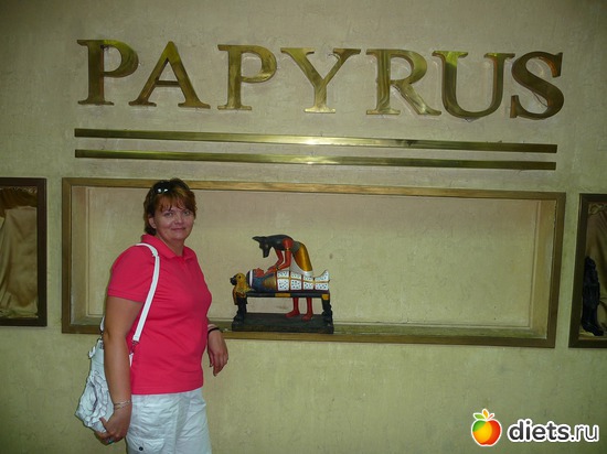 16 ����: ������� 2013