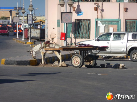 19 ����: ������� 2013