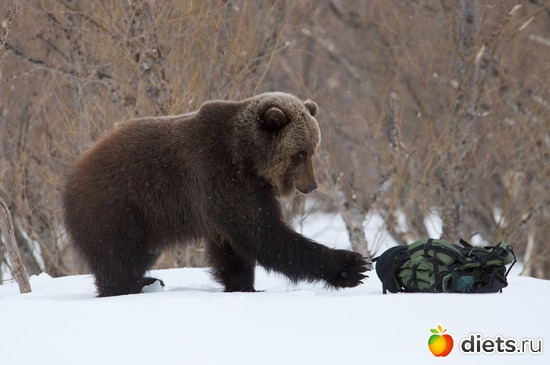 1 ����: ��������