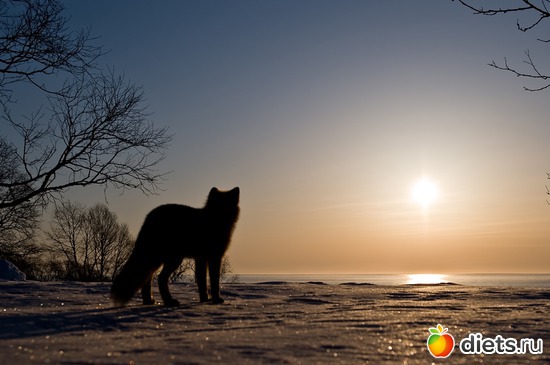 2 ����: ��������