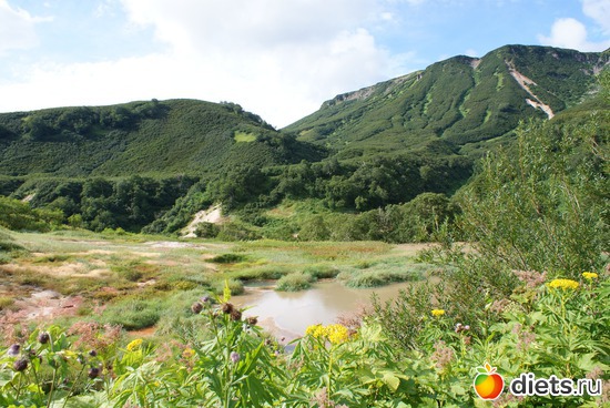 4 ����: ��������