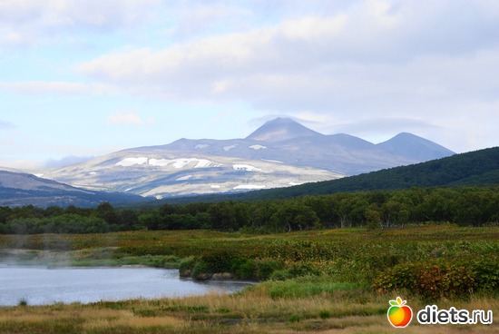 5 ����: ��������