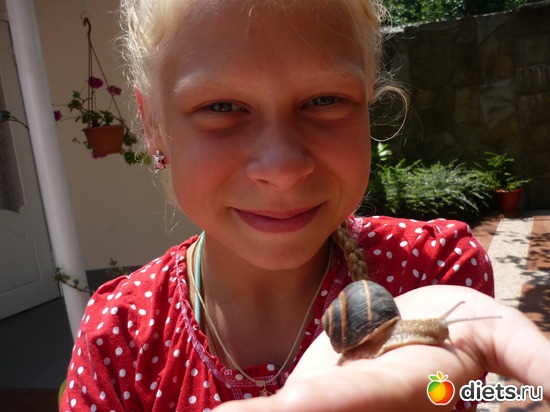 7 ����: ��������