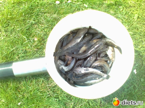 4 ����: ����������