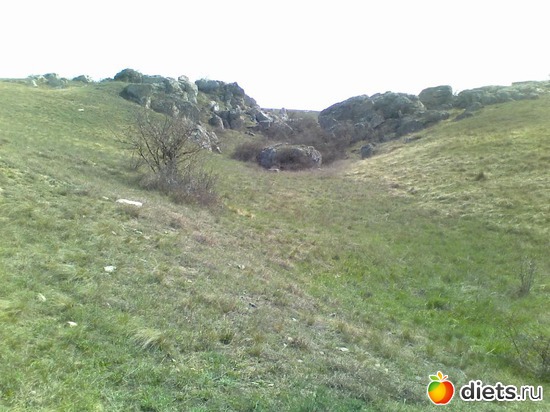 10 ����: ����������