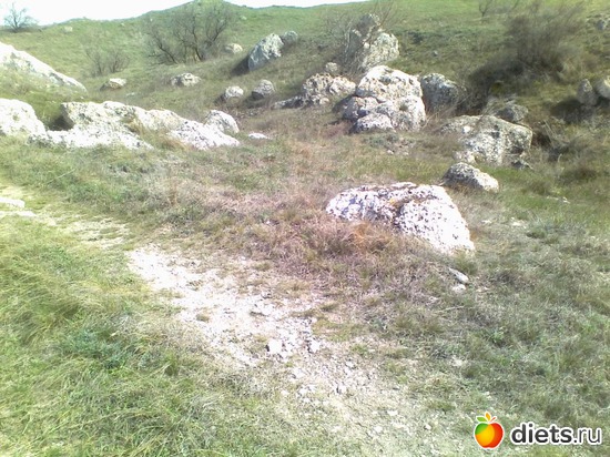 12 ����: ����������