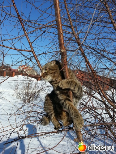 14 ����: ��� ����