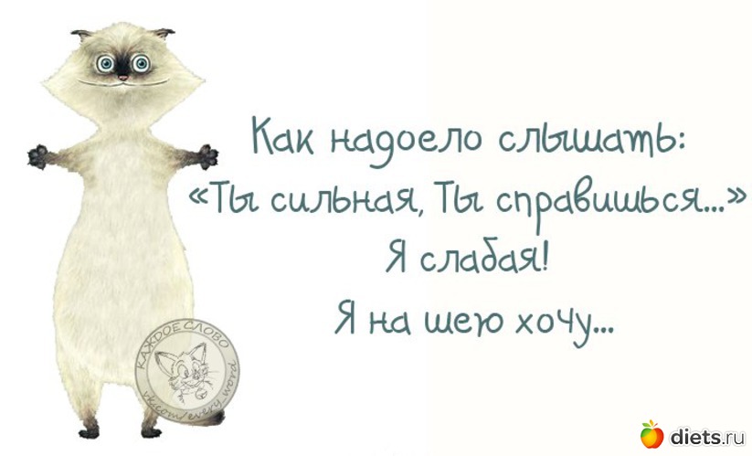 5 ����: ������ �����������