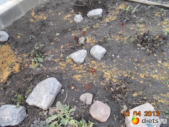 29 фото: просто