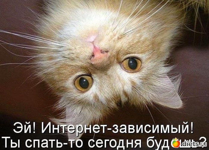 73 ����: ��������