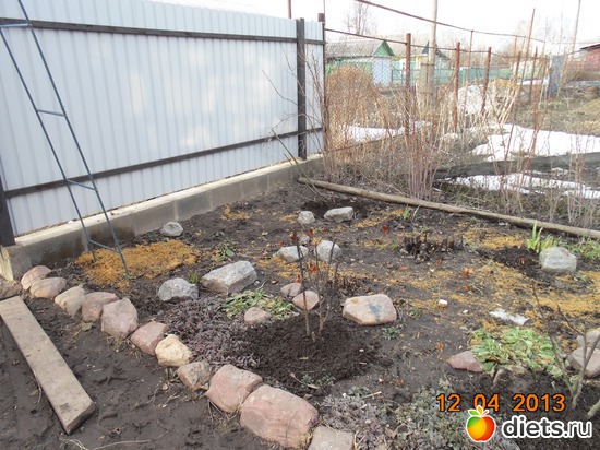 28 фото: просто