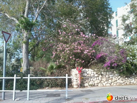 Весна.Бат-ям, альбом: Мой город