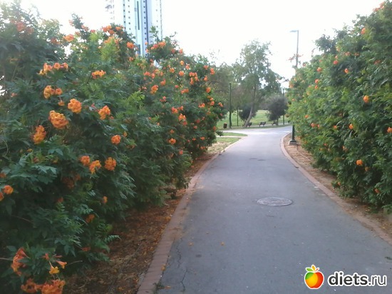 Весна.Бат-ям, альбом: Мой город