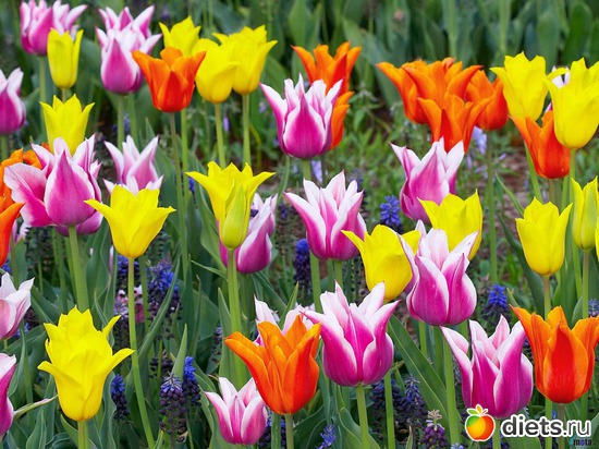 421 фото: Для постов