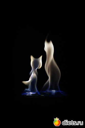 424 фото: Для постов