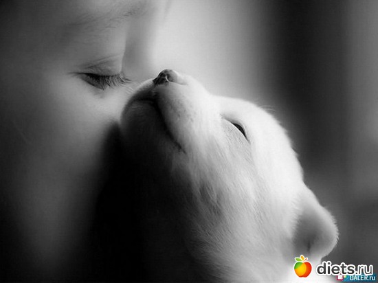 426 фото: Для постов