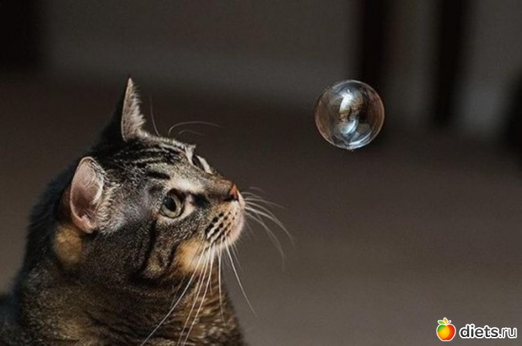 428 фото: Для постов